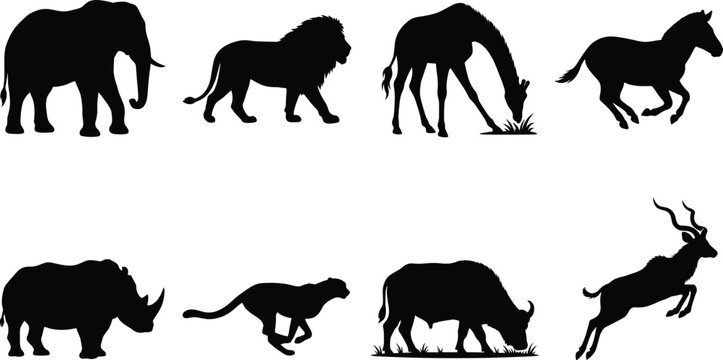 Wild animal silhouette illustrations, elephant lion giraffe horse rhinoceros cheetah buffalo antelope poses, black stylized wildlife anatomy artwork collection