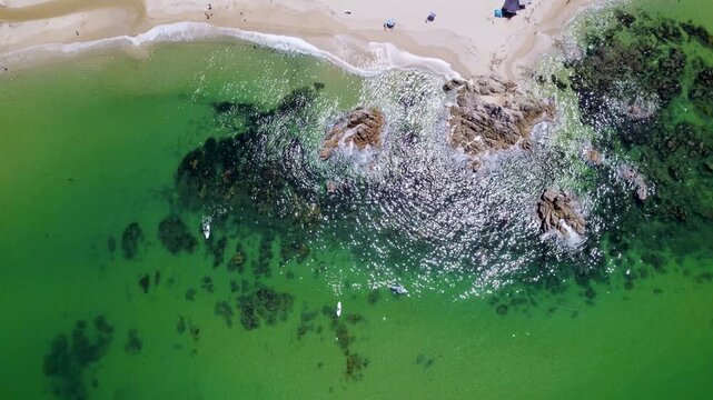【ドローン撮影】福井県 水晶浜海水浴場の白砂とエメラルドグリーンの浅瀬（ドローン真下俯瞰・横移動）