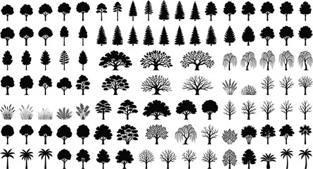 Collection Of Tree Silhouettes Black Vector Illustration On White Background © kamrunnahar