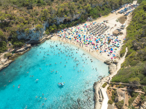 Aerial view of colorful umbrellas on crowded sandy beach, swimmers in blue sea, green trees on sunny summer day. Mallorca, Balearic Islands, Spain. Tropical top drone view. Turquoise water. Travel