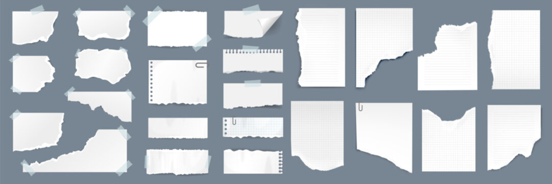 Collection of torn paper sheets with rough edges and various shapes in blank white style. Assorted notebook, lined, and grid note elements on transparent background.