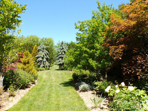 Summer landscape with trees and flowers in the park