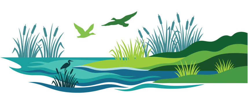 Wetlands nature landscape ducks heron cattails reeds marsh.