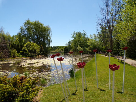 Summer landscape with trees and pond in the park