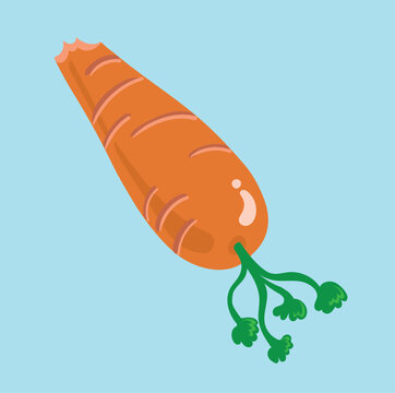 Carrot, with bite mark, vector illustration