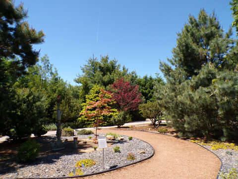 Summer landscape with trees and pond in the park
