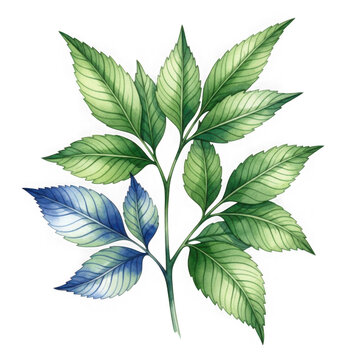A branch with green leaves and one blue leaf