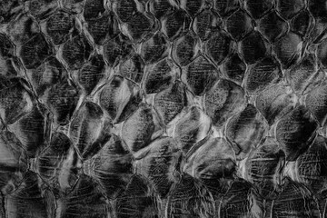Black glossy python leather texture close up with reptile scale pattern for fashion background © reddish