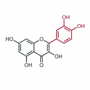 Chemical structure of quercetin molecule showing the highlighted catechol group on a white background.