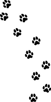 Trail of black footprints (comics silhuoette shapes), a dog walking alone on a path going from bottom to top, vertical orientation. Isolated.
