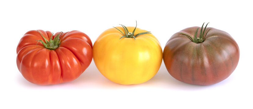 Diff&eacute;rentes vari&eacute;t&eacute;s de tomates	