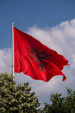 View of the national flag of Albania waving on a flagpole against a blue sky with white clouds and green tree foliage in Tirane, Tirana County, Albania.