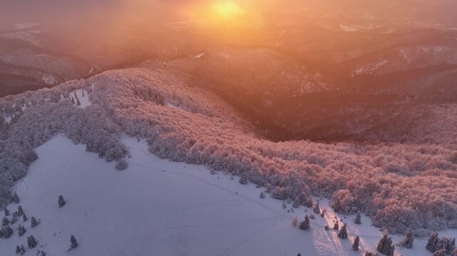 Aerial backward flight over mountain meadow and snowy trees with diffused central sunset light