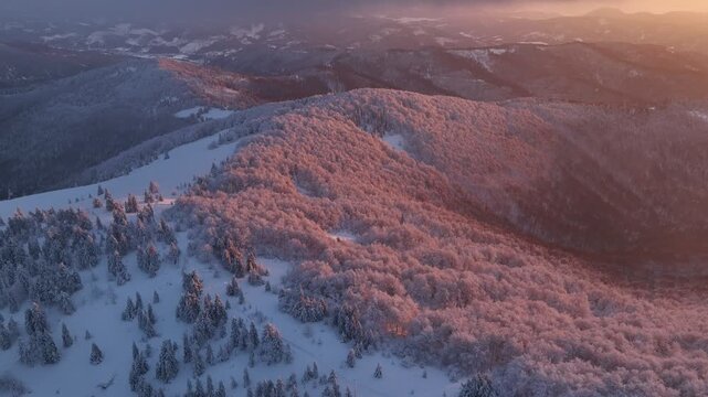 Aerial forward flight tilting down over snowy mountainside forest and alpine meadow at sunset