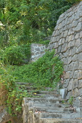 Obraz premium Old stone outdoor staircase with ivy