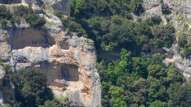 a flock of wild Griffon vultures (Eurasion griffon, Gyps fulvus) soaring and gliding in flight