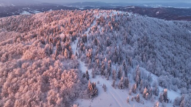 Aerial forward flight through winter mountain valley with forest glowing in golden sunset light
