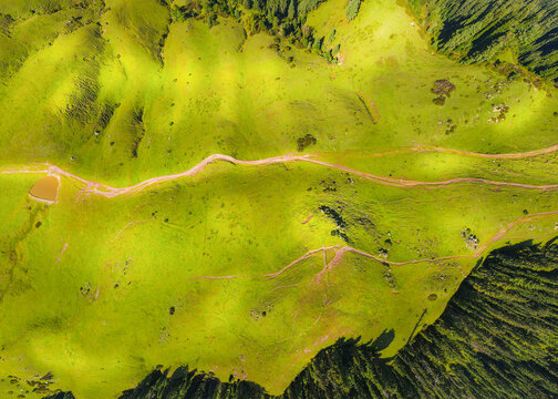 Aerial view of the lush green Siri Paye Meadows with a winding dirt path and dense pine forests under bright sunlight in Balakot, Khyber Pakhtunkhwa, Pakistan.