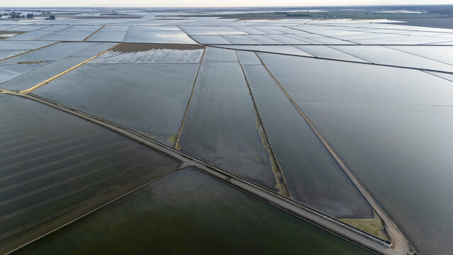 Aerial view of flooded rice fields at Isla Minima with geometric water plots and dirt paths under a soft sky in Sevilla, Andalucia, Spain.