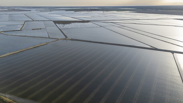 Aerial view of the flooded rice fields at Isla Minima with water reflecting the sky in a geometric grid pattern Sevilla, Andalucia, Spain.