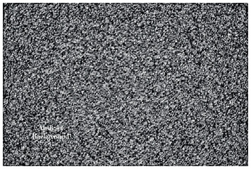 Fototapeta premium Textured monochromatic abstract background with visible small pebbles and grit detail