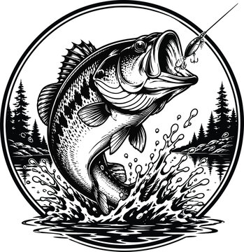 Largemouth bass fish jumping out of water to catch a fishing lure vector illustration. Sport fishing tournament round emblem logo design. Isolated black and white monochrome line art circular badge wi
