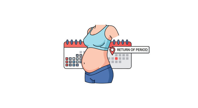 Pregnant belly, calendar, return of period concept illustration