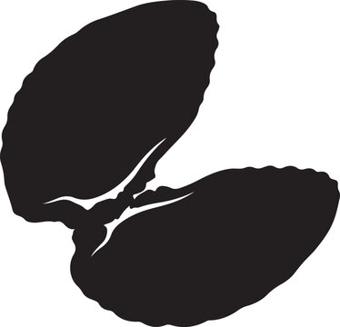 Open Clam Shell Silhouette Vector Icon