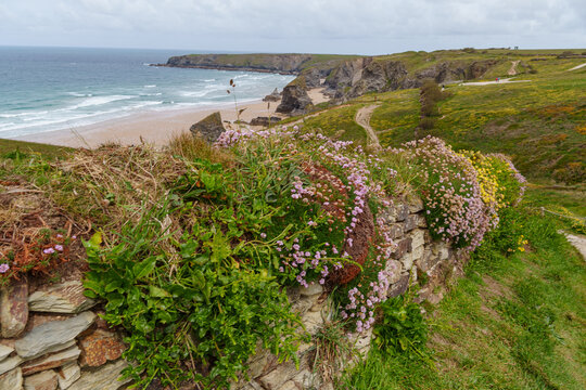 Fr&uuml;hling an den Bedruthan steps in cornwall