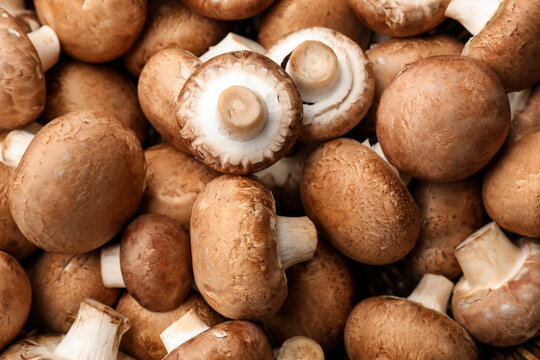 Fresh brown champignon mushrooms as background, top view