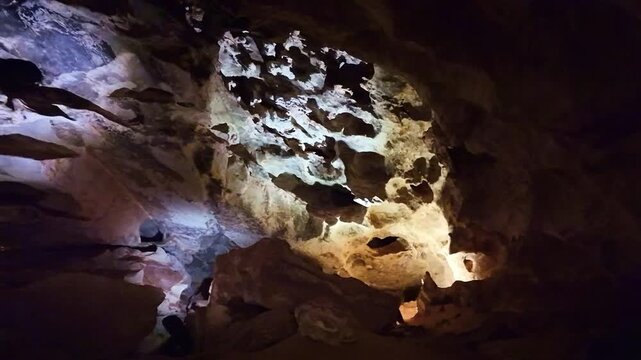 Dramatic illuminated cave ceiling and walls revealing intricate boxwork formations inside Wind Cave National Park