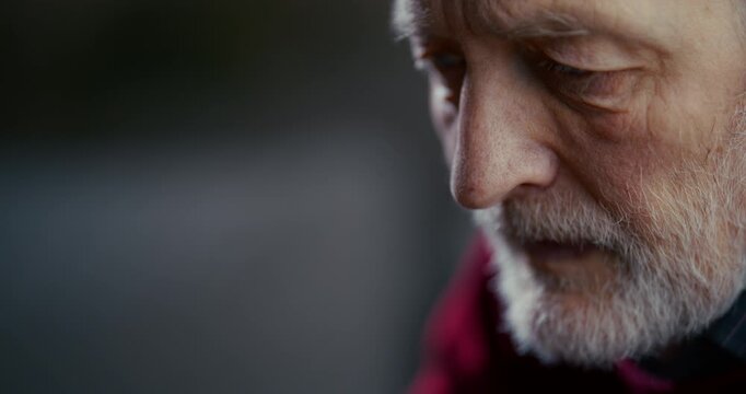 Close-up portrait of elderly bearded man looking down in soft side light
