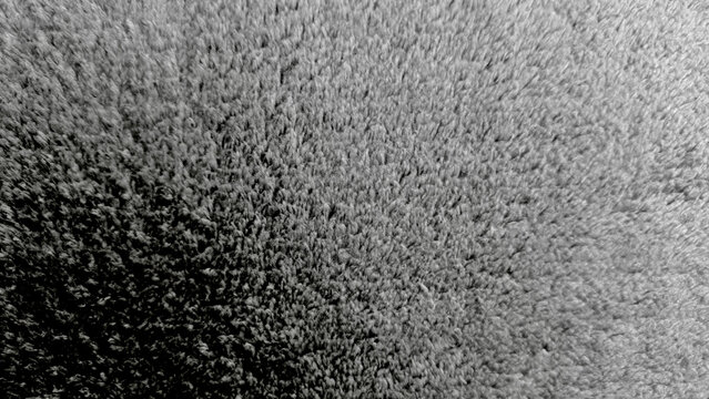 plush gray fleece texture creates a cozy minimalist background with soft fibers capturing dramatic shadow and light