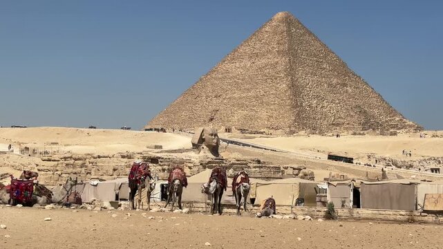 The Great Sphinx of Giza is a sphinx statue located in the Giza pyramids area in Cairo, the capital of Egypt. 
