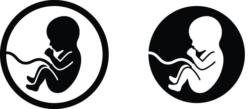 Human fetus development icons showing embryo in womb for medical education and pregnancy health vector illustration.