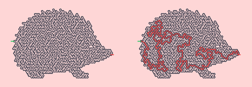 Hedgehog maze design in pink background with intricate pattern  