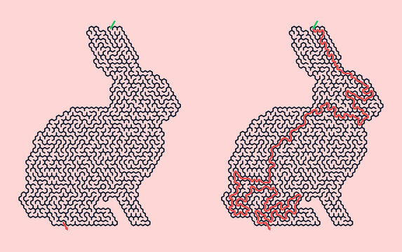 Rabbit maze illustration showing paths on pink background  