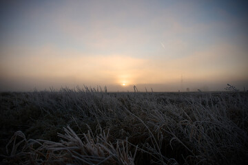 Wide view of a frost-covered meadow at dawn, low sun near the horizon casting soft golden light across icy grasses. Mist hugs the ground and distant © Florian Kunde