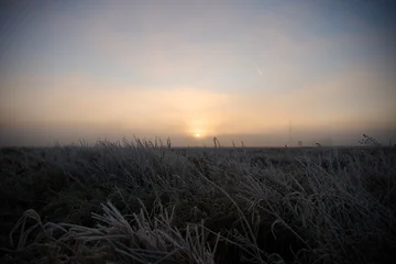 Wide view of a frost-covered meadow at dawn, low sun near the horizon casting soft golden light across icy grasses. Mist hugs the ground and distant © Florian Kunde
