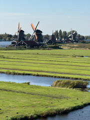 Fototapeta premium Zaandam, Netherlands - September 19, 2025: Row of Historic Dutch Windmills Along a Tranquil Canal Surrounded by Green Meadows at Zaanse Schans