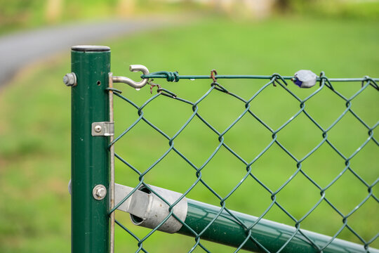 Green metal chain link gate detail against blurred field.
