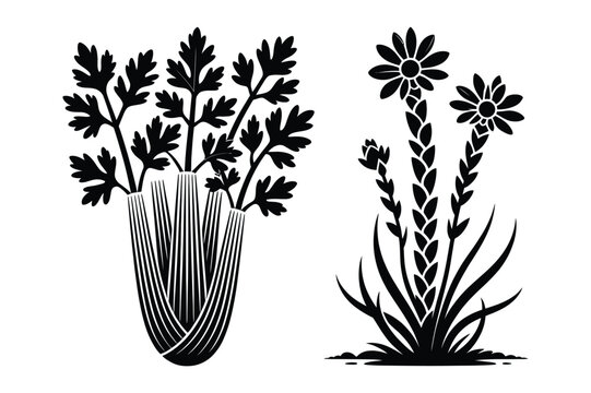Black and white silhouette vector of fresh celery stalks and blooming desert flowers
