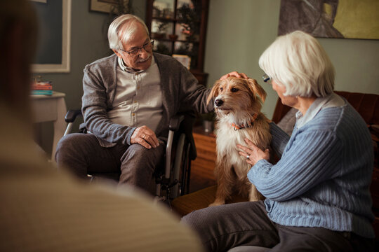 Senior couple petting dog at home