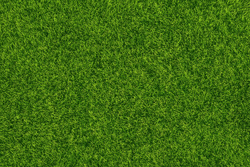Obraz premium green grass texture closeup natural lawn surface for background or landscape use