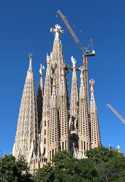 4 de junio de 2026. Barcelona. Sagrada Familia. La gran altura de la bas&iacute;lica y c&oacute;mo sobresale sobre los &aacute;rboles.