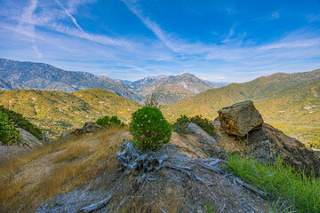 A windswept dwarf pine and granite boulder on a dry Kings Canyon ridgeline, with a broad mountain valley and snow-dusted Sierra Nevada peaks beyond. © ZL Visuals