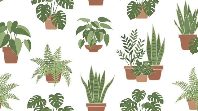 Various potted plants with green leaves on white background, including ferns, snake plants, and monsteras in brown pots, indoor gardening.
