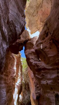 Beautiful scenery of Avakas Gorge in Cyprus, a famous canyon and hiking spot in Paphos area. Concept of traveling, tourism, active lifestyle. Vertical view