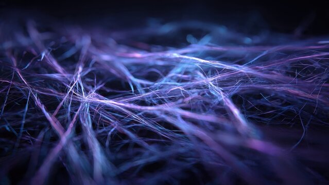 Fibers Under Microscope
