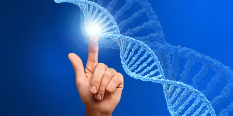 Male hand touching a glowing DNA double helix structure against a blue background for biotechnology research © BillionPhotos.com